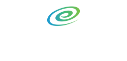 White + Color Primary Logo